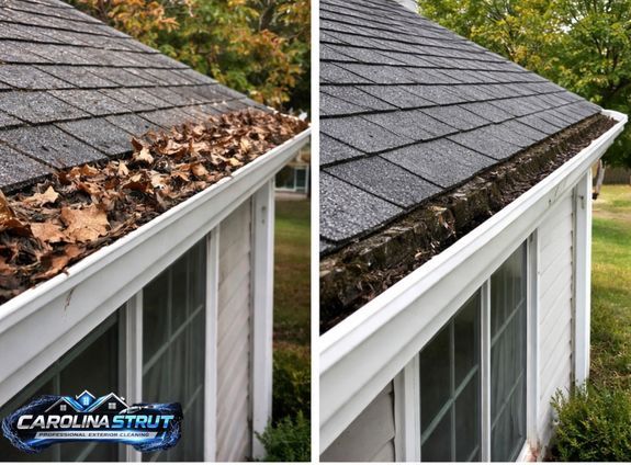 Professional Gutter Cleaning & Brightening in the Pee Dee