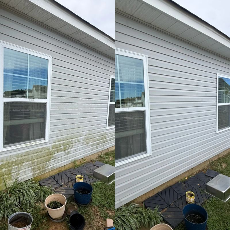 carolina strut siding algae removal before after
