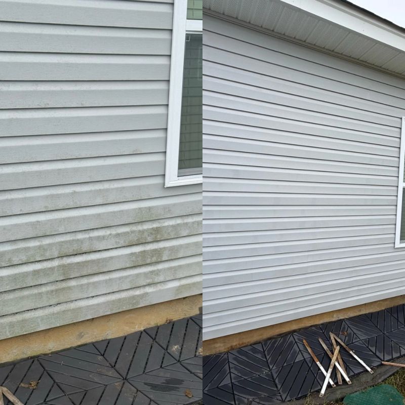 carolina strut house soft washing before after