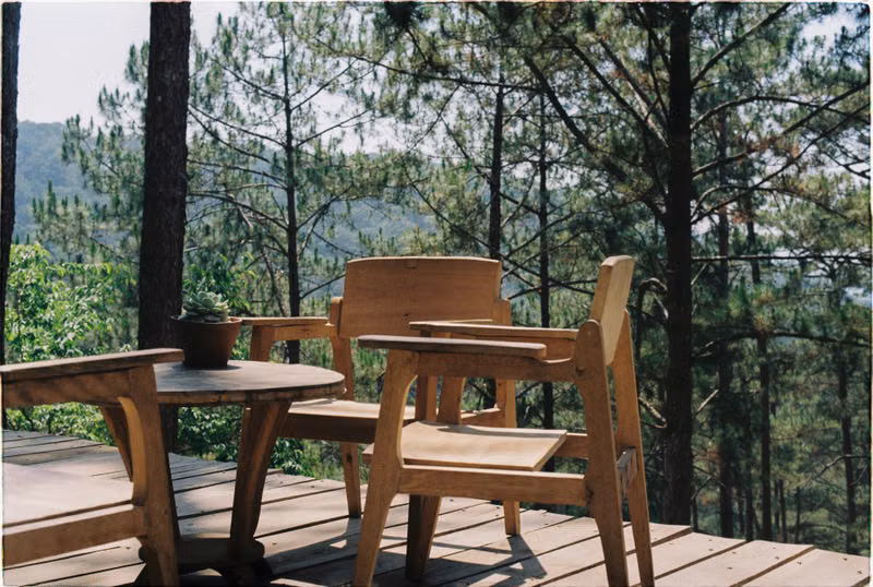 Wooden patio overlooking a forest illustrating deck and fence cleaning services (stock photo)